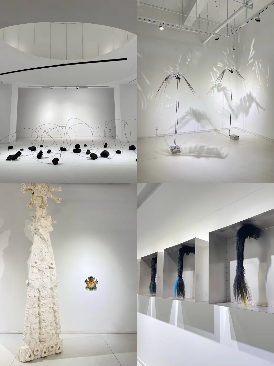 外滩🆓新展太有趣了吧❕人少可冲…