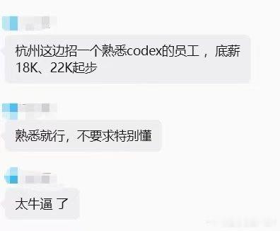 只要会用codex工资就18k起步了 ​