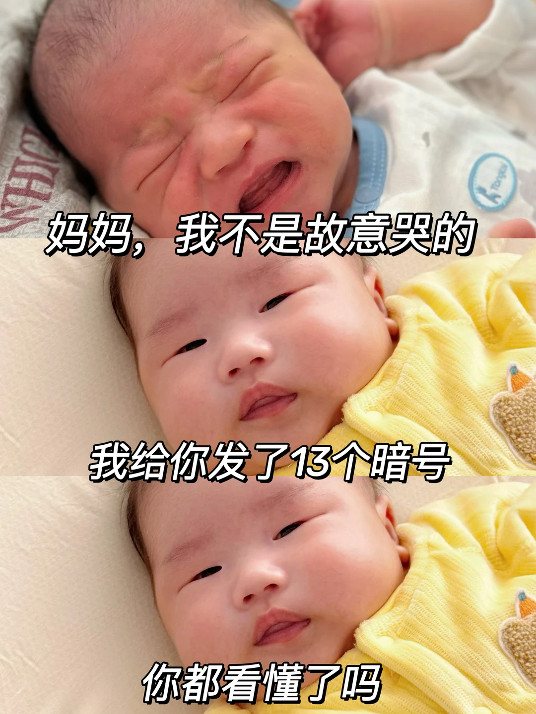 只要你明白宝宝的13个需求，他真的很好带‼️