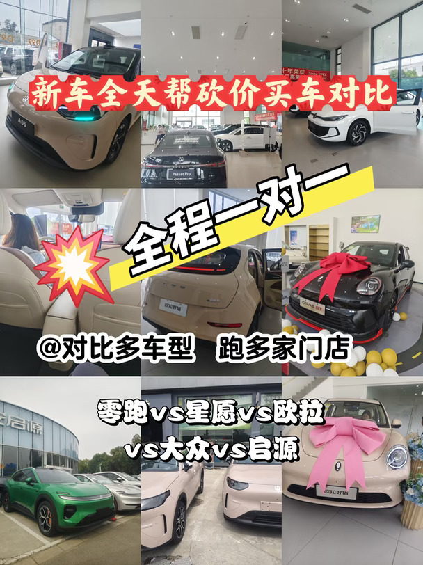 全天陪同看车！电车vs油车怎么选｜零跑A10/星