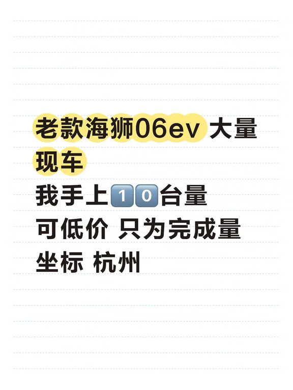 老款海狮06ev走量价出