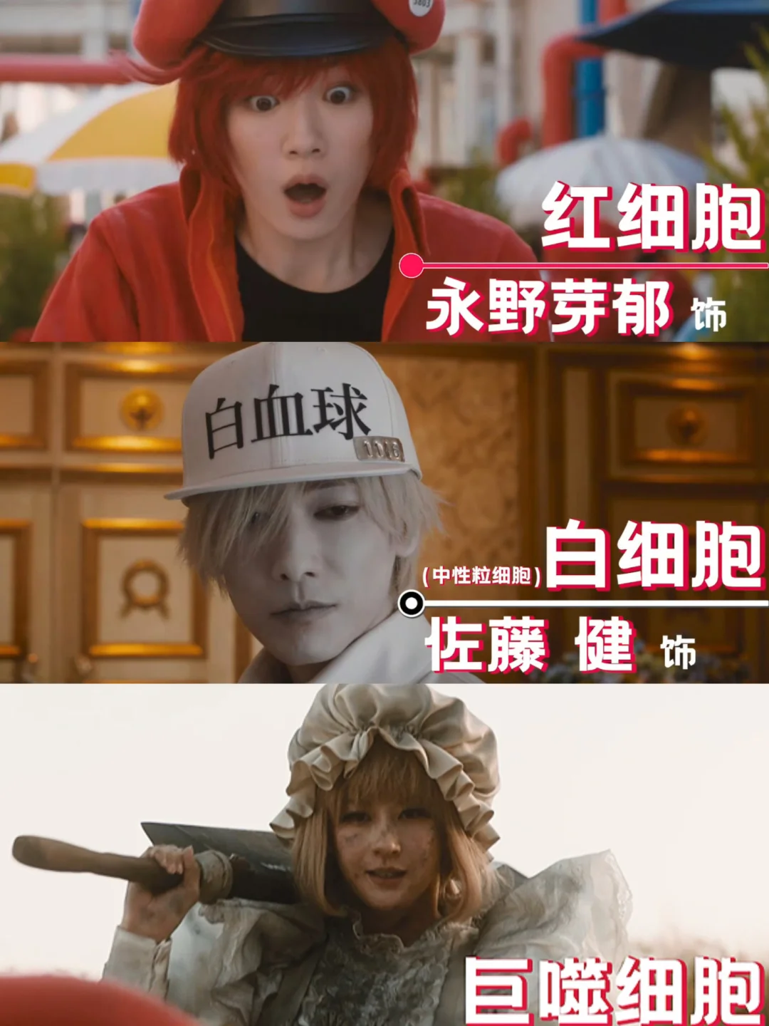 妈呀❗《工作细胞》定档❗全身牛马开工❗❗️