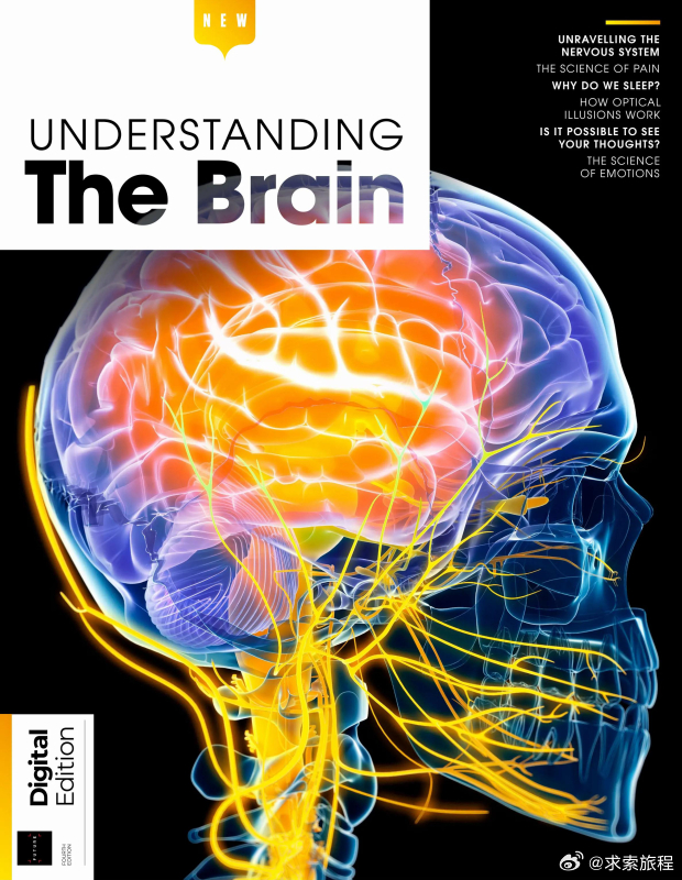 🧠《Understanding The Brain》第4版2026，一本人人都能读懂的大脑科普读物✨

人类大脑是宇宙已知最复杂的器官。这本书用大量彩色解剖示意图，揭开神经系统的奥秘：肌肉记忆、脑‑肠轴、疼痛的原理、睡眠与梦境、错觉、情绪与谎言、催眠现象通通有解读。

书中也探讨动物大脑、脑部外科手术，还抛出 ​