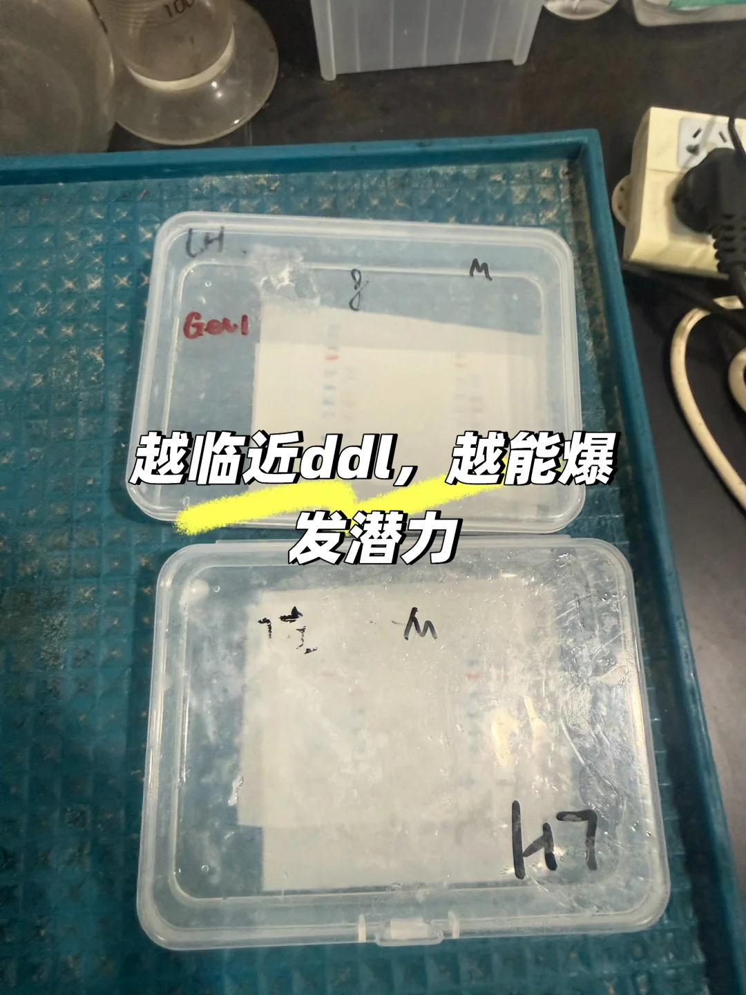 佛系懒人第一次一天八块胶，ddl爆发的潜力