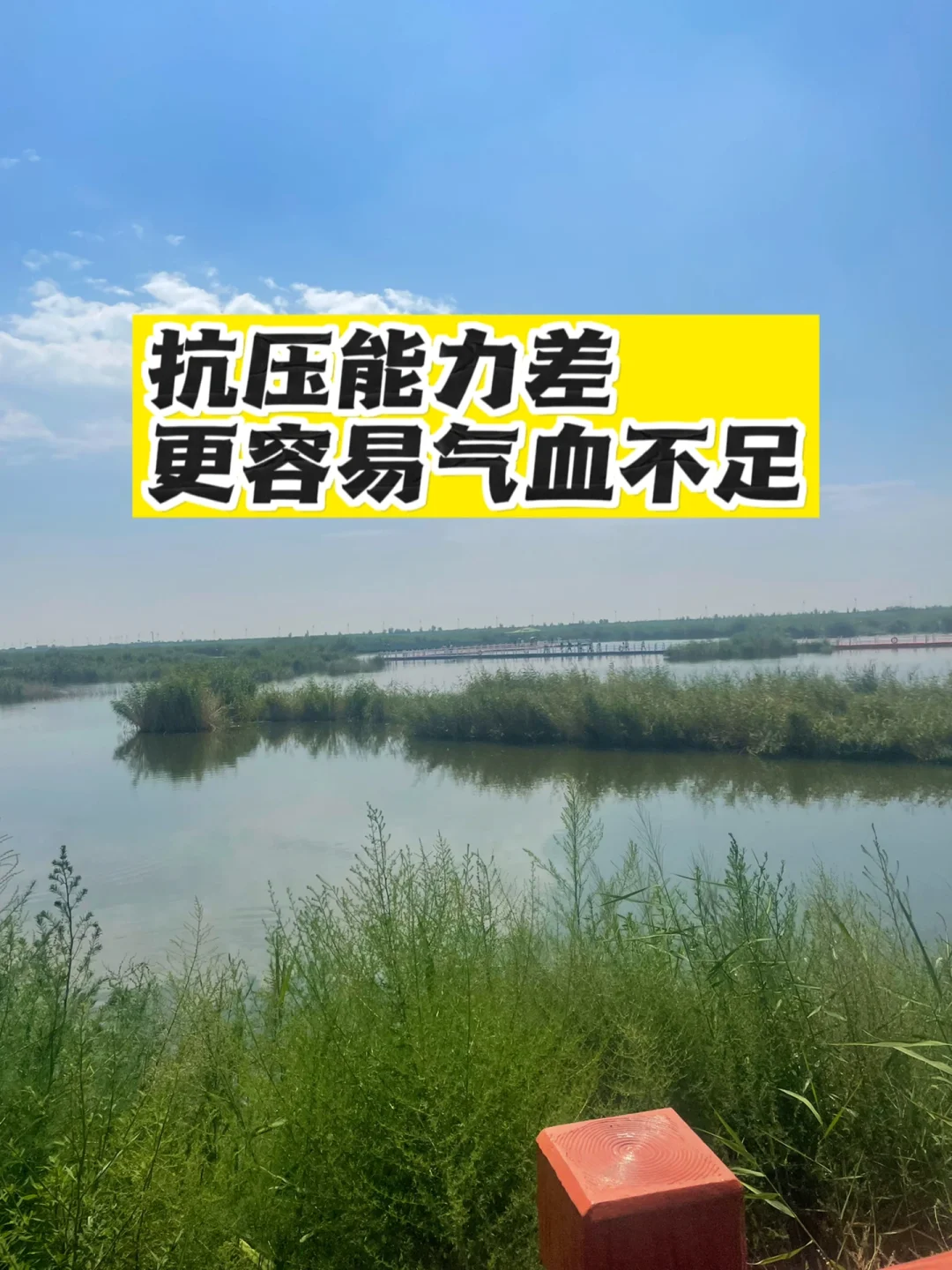 抗压能力差，更容易气血不足.