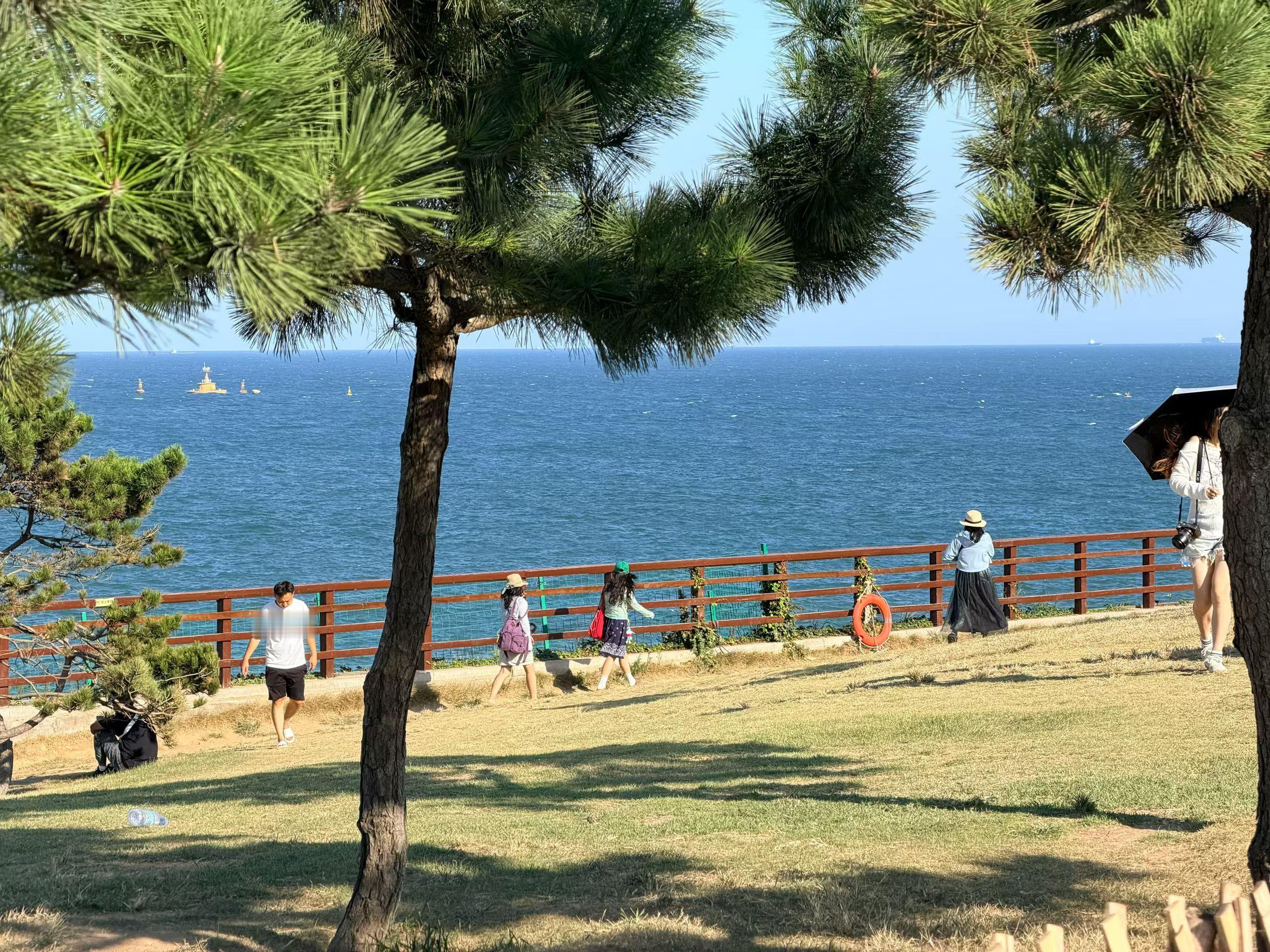 孙子上小学了，儿媳妇开始不吃我做的饭了。其实我俩也明白，儿媳妇想让我俩走。我俩收拾一下，今早就踏踏实实返乡路了。

我今年六十四了，老伴六十七。五年前儿子一个电话，说孩子没人带，我们老两口就把老家的地包给了邻居，拎着两个蛇皮袋进了城。那时候孙子刚满两岁，儿媳妇产假结束要上班，我们一来，她就解放了。头