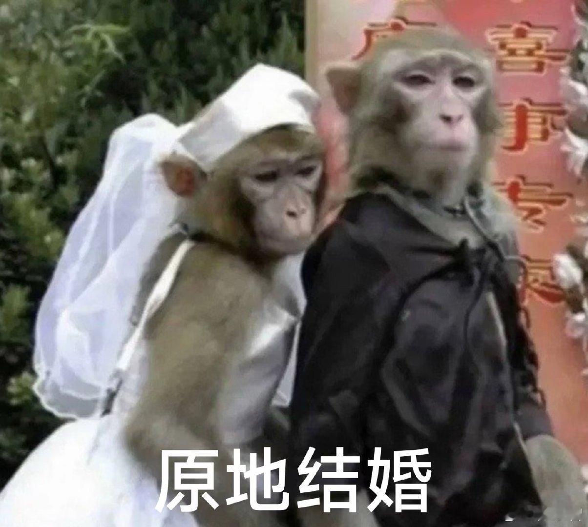 #在上海领证一站式搞定备婚烦恼#没有空洞的祝福和说教，美团医美实实在在为年轻人着想，针对备婚所有痛点精准发力，线下一对一专业答疑解惑，用专业和温柔治愈新人的备婚焦虑。 ​