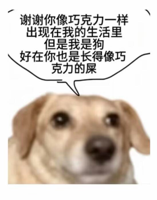 狗狗meme图 ​​​