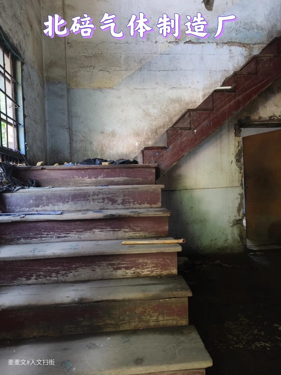 【北碚】气体制造厂废弃后被汪星人占领了