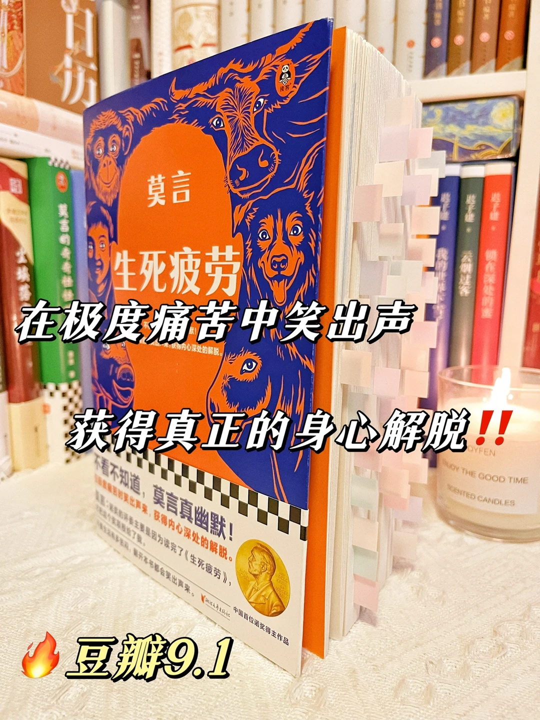 破防了😭这本书让我彻底放下对生活的怨念‼️