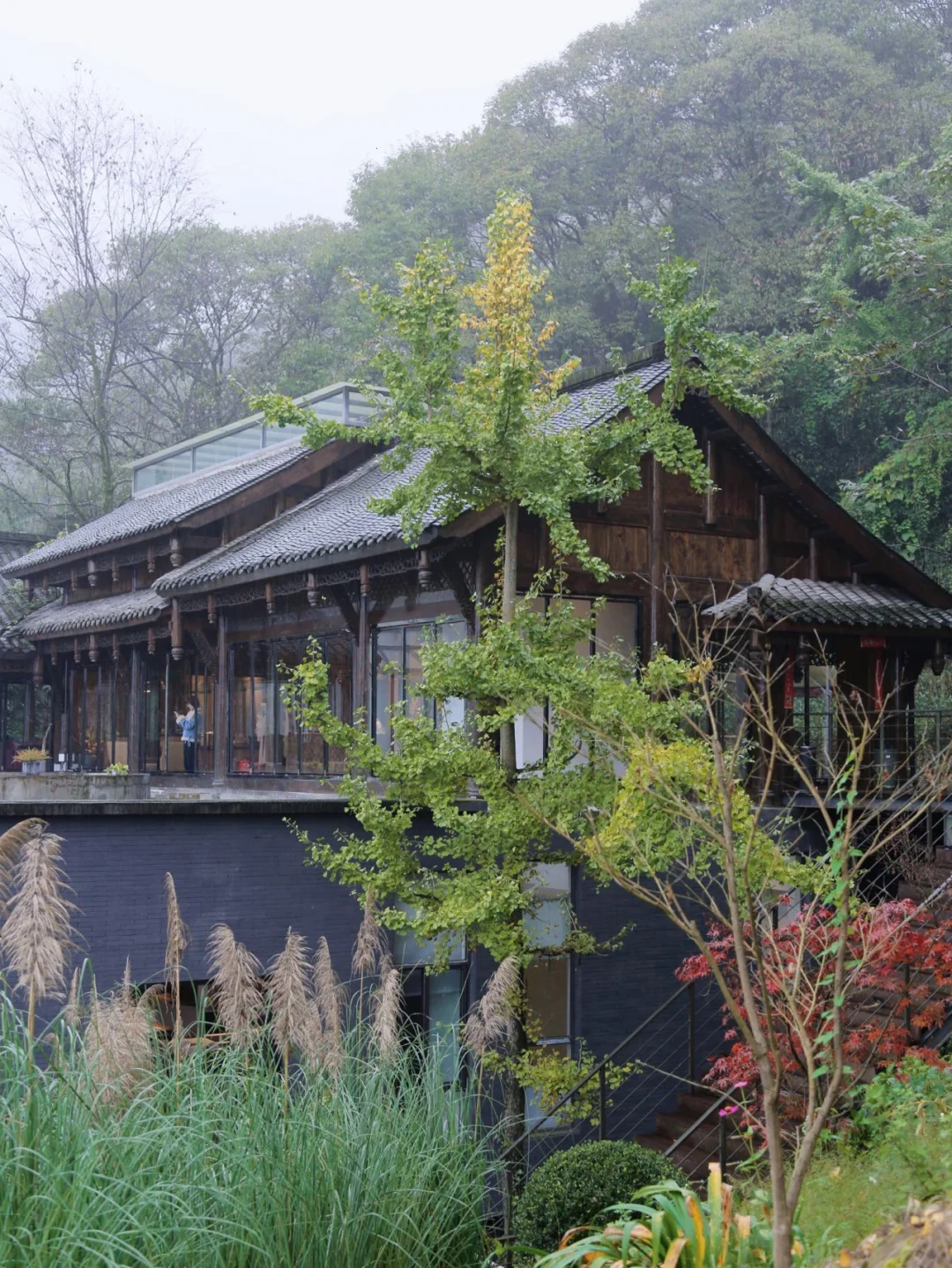 成都周边｜青城山，最适合亲子游的宝藏酒店😇