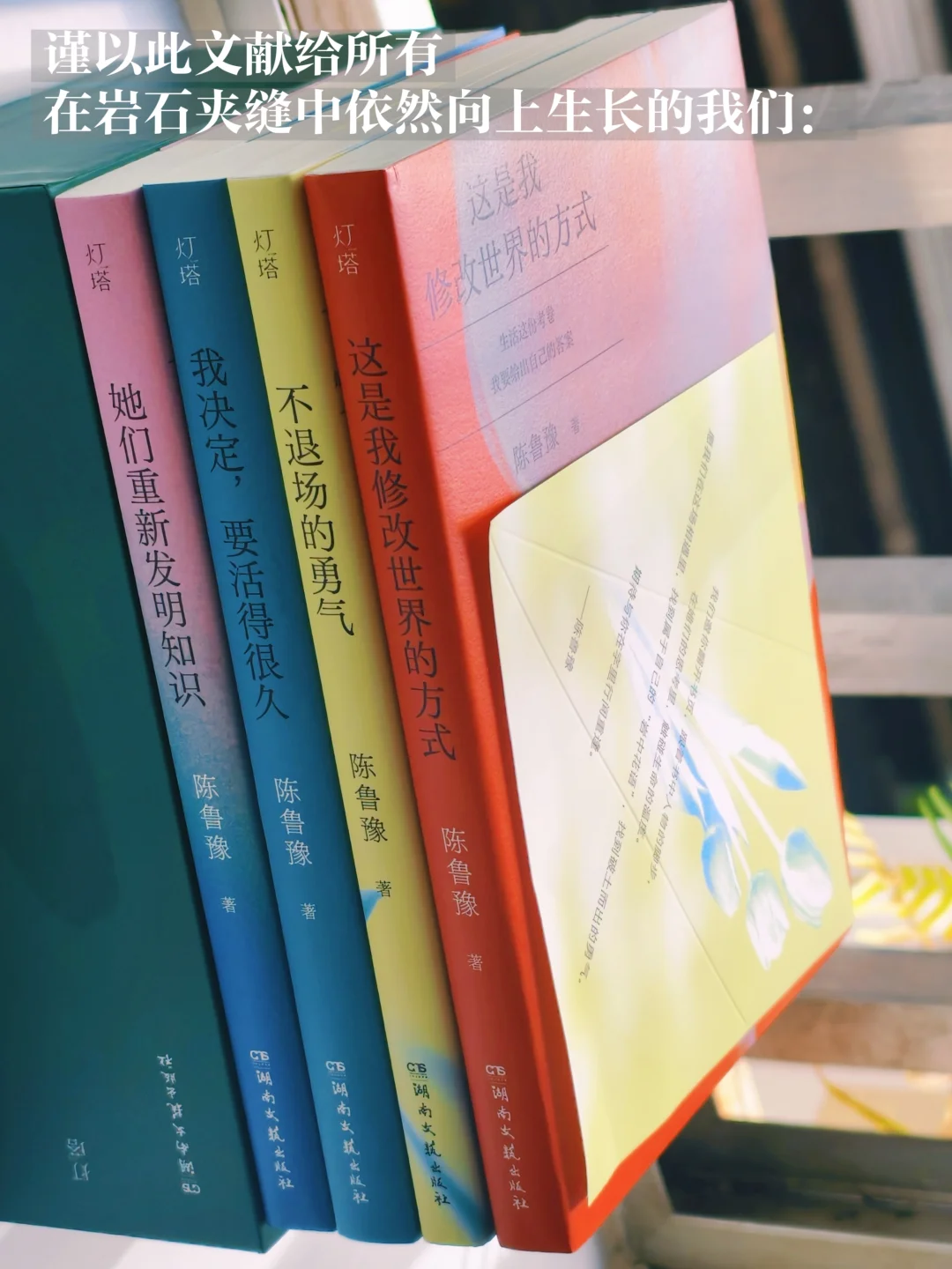 我们终将在各自的岩层里，开出不同的花🌺