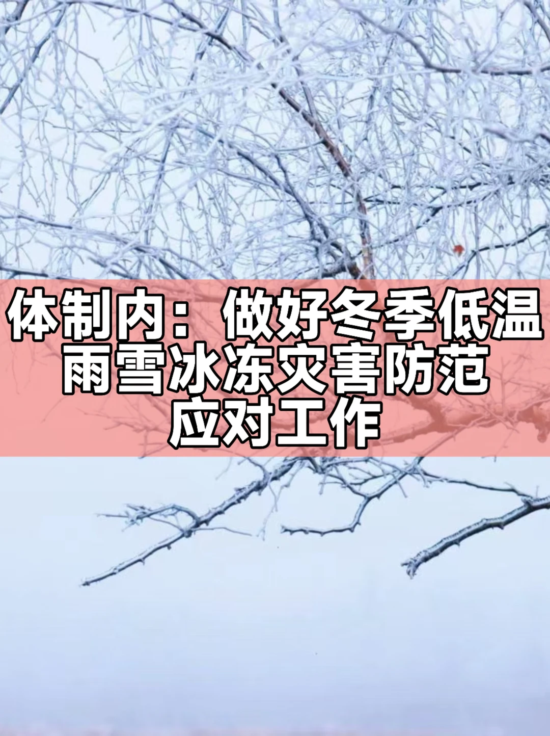 做好冬季低温雨雪冰冻灾害防范应对工作