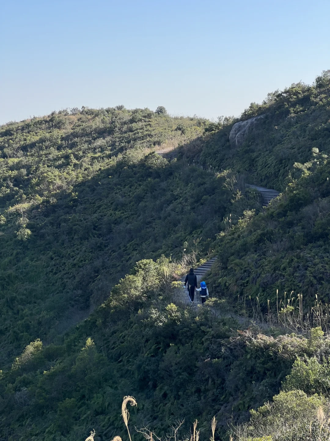乐清｜免费带娃徒步户外的野生植物园登山