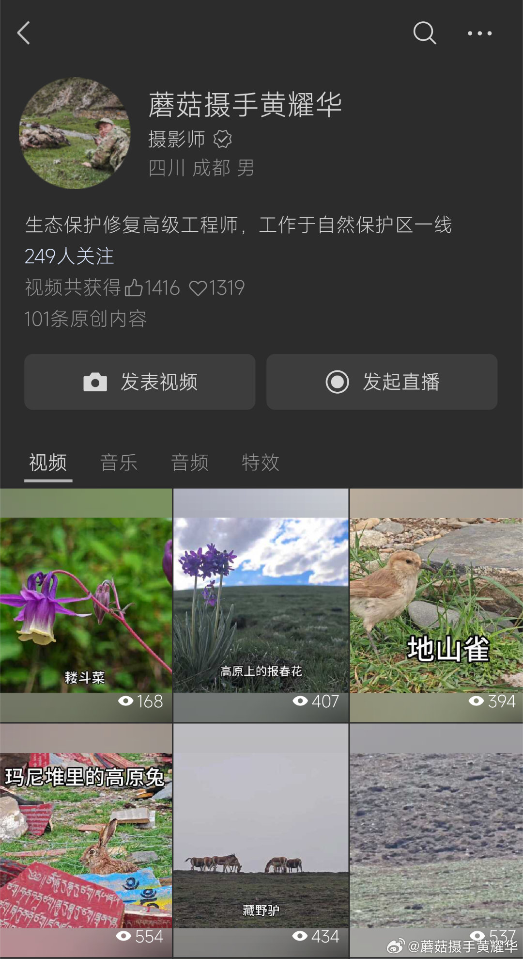 各位粉丝朋友，我最近开通了微信视频号，会在微信视频号上分享一些野生动植物内容，欢迎关注我的微信视频号:蘑菇摄手黄耀华 ​​​