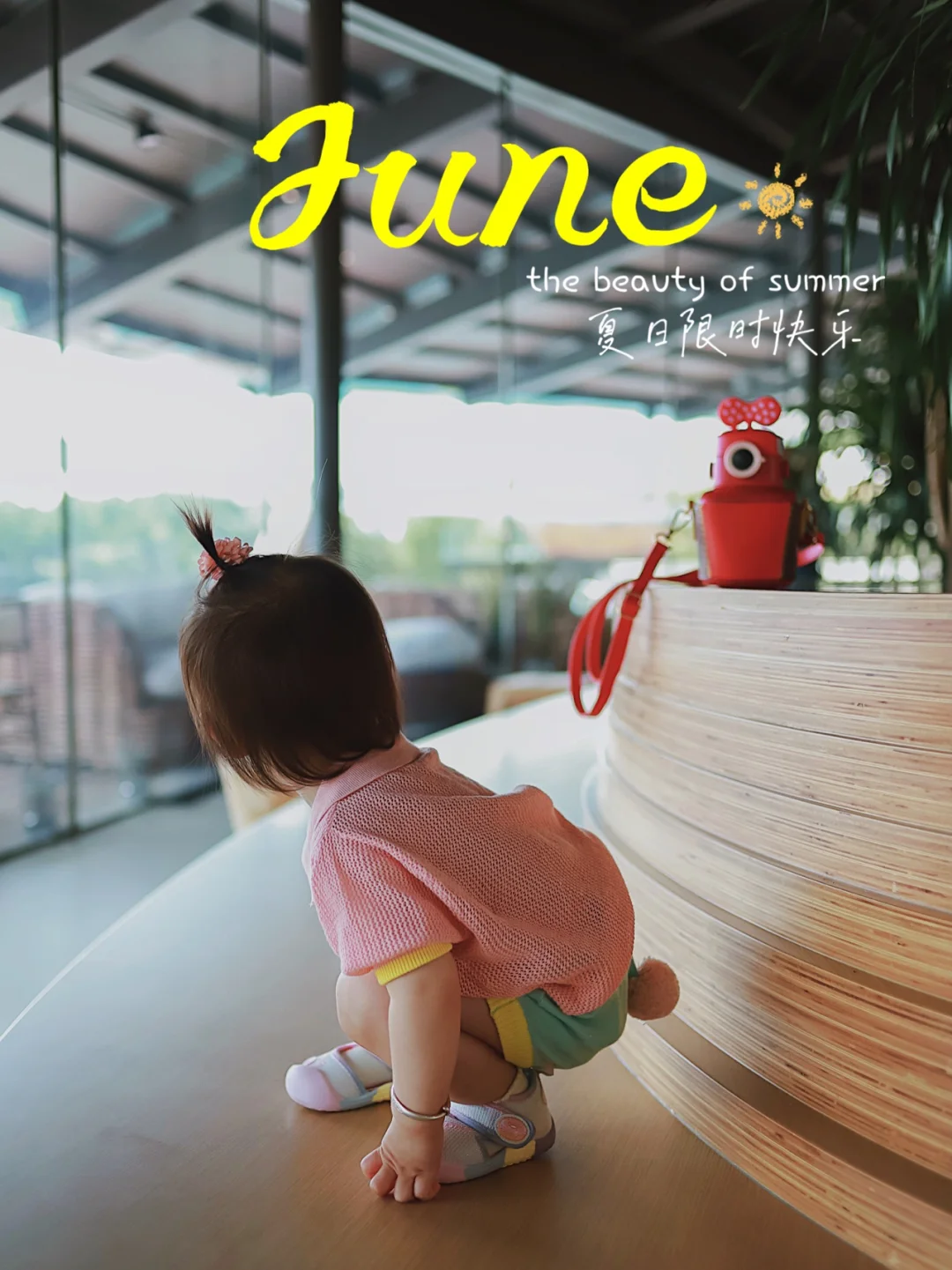 滴滴～谁家的小可爱落在这里啦？？？