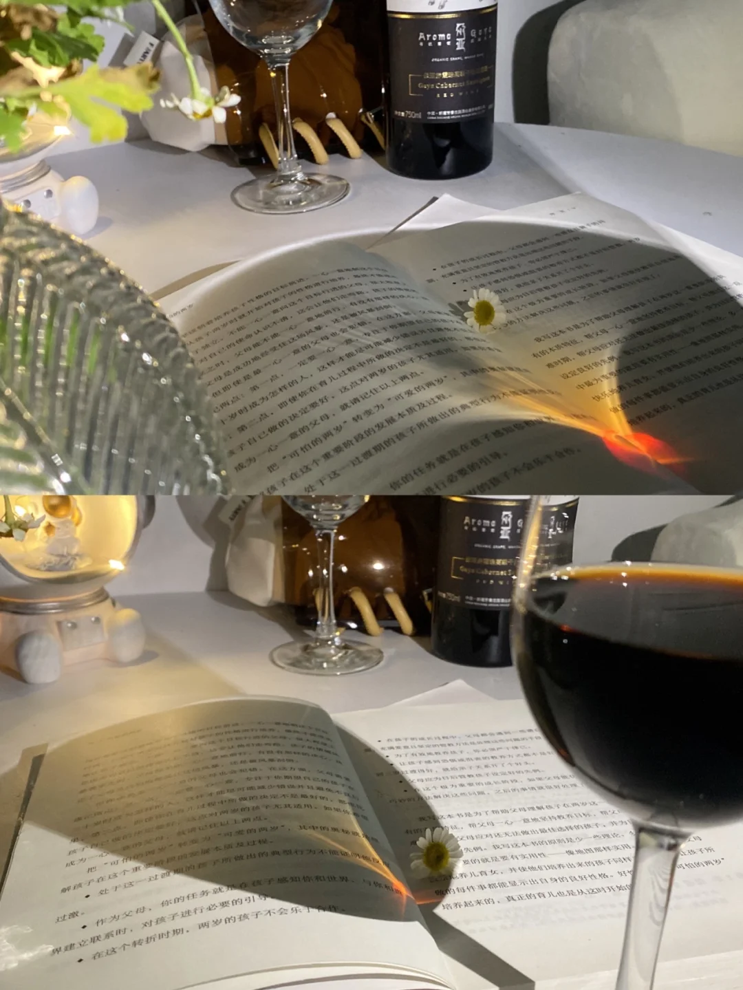 微酒精是一种境界，人生慢慢，漫漫品尝