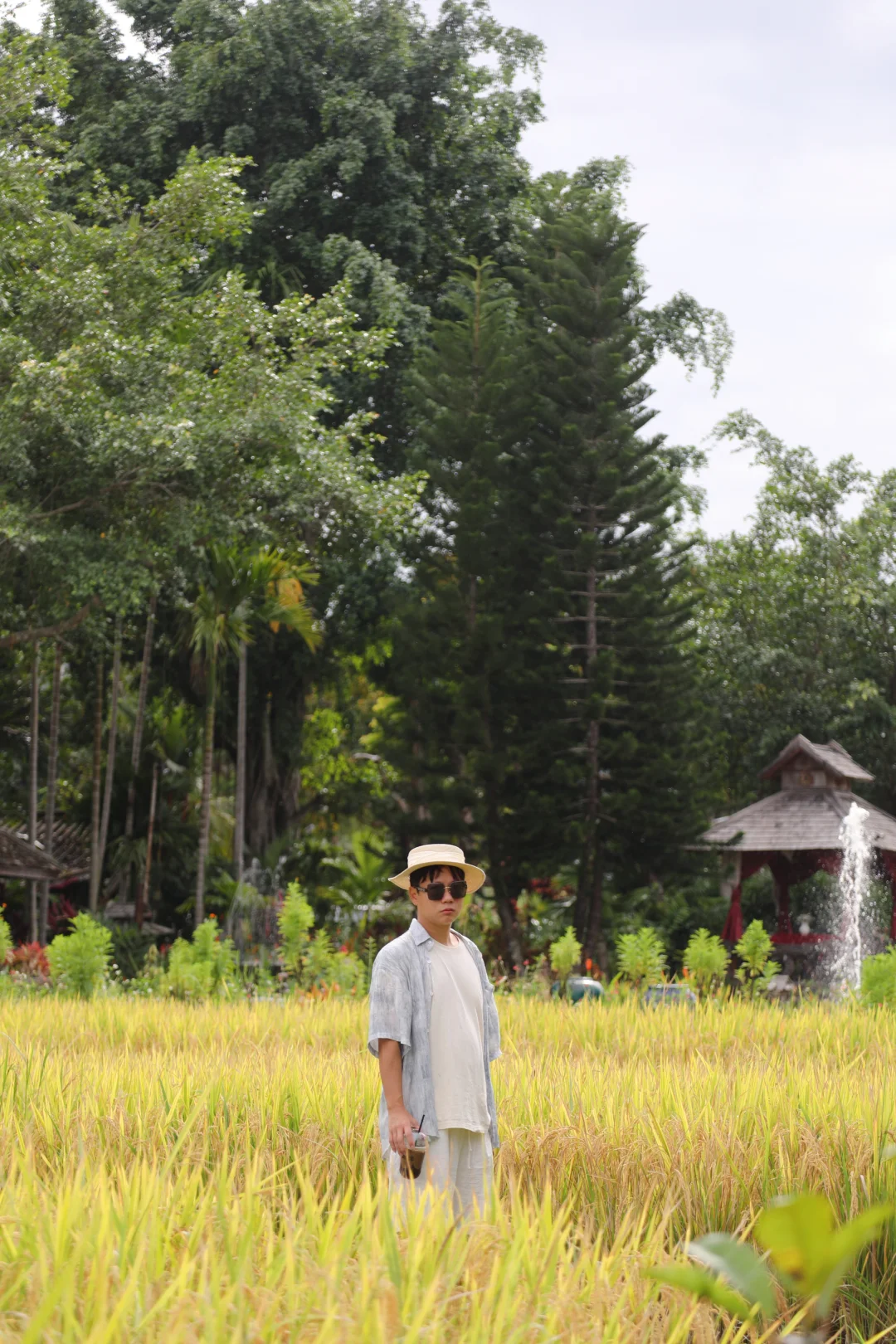 清迈5天4晚游玩攻略，小众路线走起