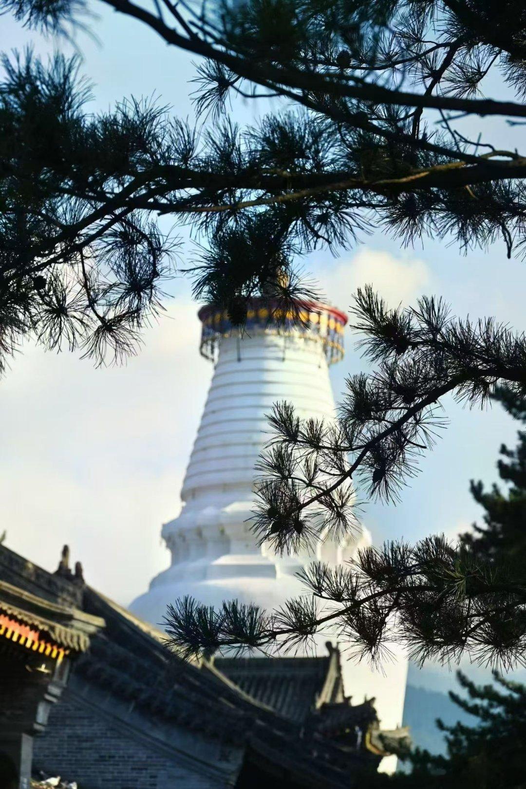 一辈子，与人相处，记住三句话：“看人长处、帮人难处、记人好处”。 ​​​阿弥陀佛  ​​​