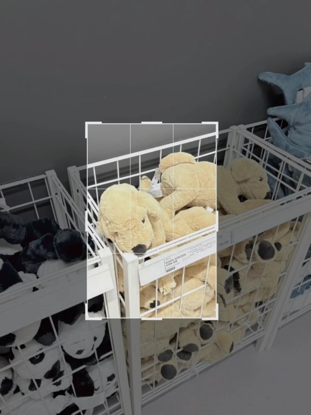 宜家废片别删❗️构图后秒变清透高级氛围感👏