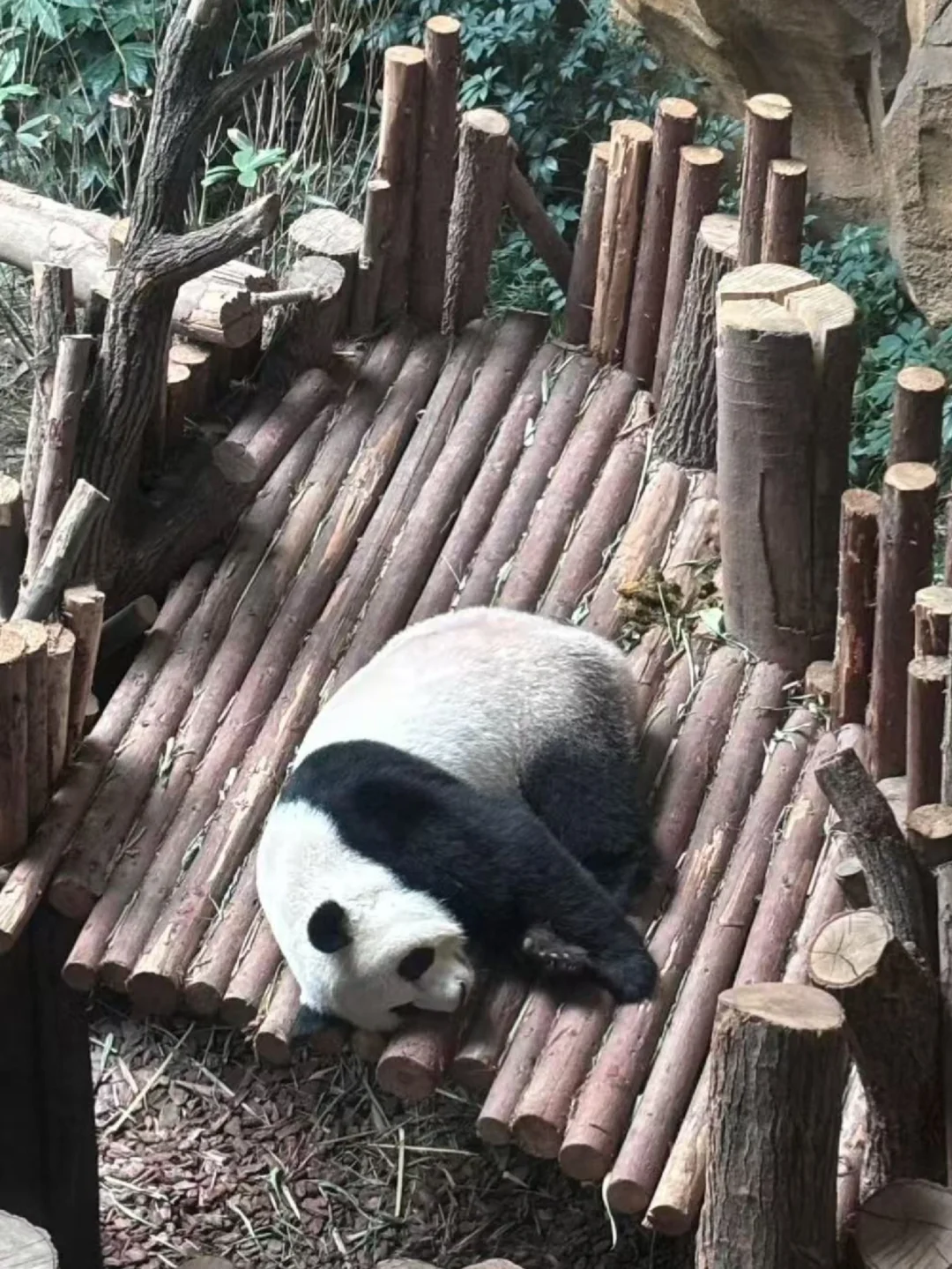 成都！这么热的天你是想毁了我嘛！