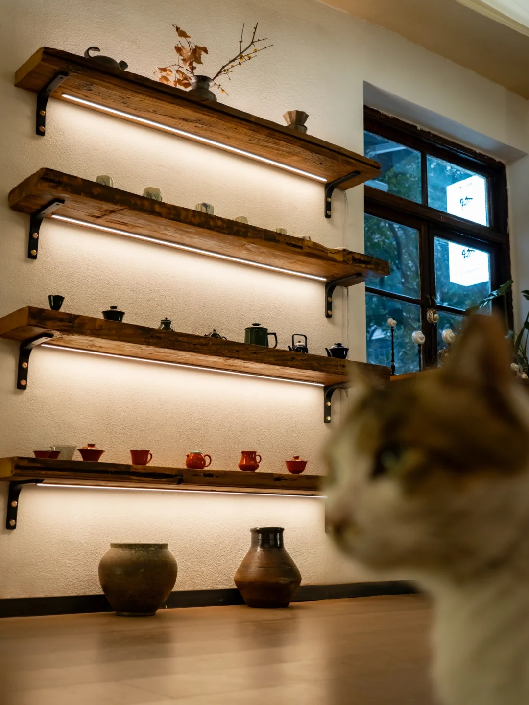 门店日志｜咪咪我呀，今日是摄影师！