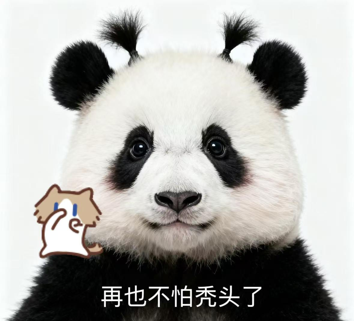 经常收到私信问，有没有相对更温和的雄脱干预方式？今天就和大家聊聊纷永维非那雄胺喷雾剂！作为原研进口的外用处方药，它给到有顾虑的人群另一个干预思路，但还是要客观说一句：不存在脱发神药❗❗雄脱的干预本身就需要长期坚持，也存在明确使用禁忌，女性不适用，孕妇严禁接触药液。⚠️重要提醒：本品属于处方药，务必遵从皮肤科医生指导，不要自行购药使用！9月10日-9月14日打开京东搜索“健康答题666”或戳【网页链接】，还能答题获得千元免单，京东买药，便宜又放心！在雄脱路上踩过坑的，这次真的可以再试一次，选对方式很关键！京东健康 超品日 京东 健康答题 健康大考看病买药上京东