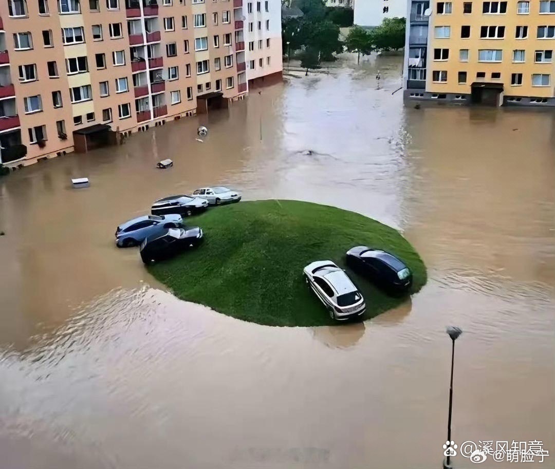 每个小区都有几个大聪明 ​​​