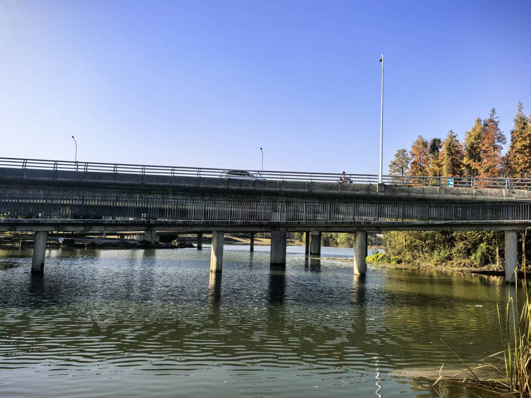 活到这岁数才算活明白了。  小时候摔一跤，先扭头瞅有没有人看，怕人笑话...