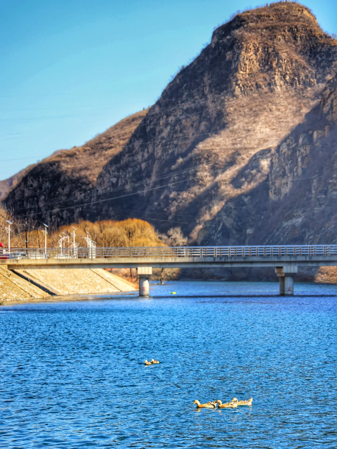 春天第一场露营‼️99%的人都不知道的🆓营地