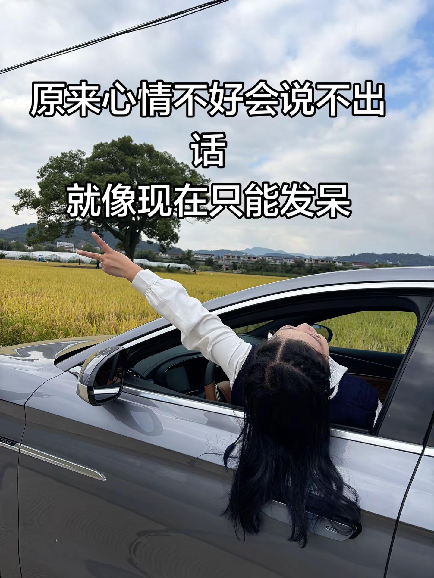 <p>情感共鸣 <!--{img:0}--></p><img src=...