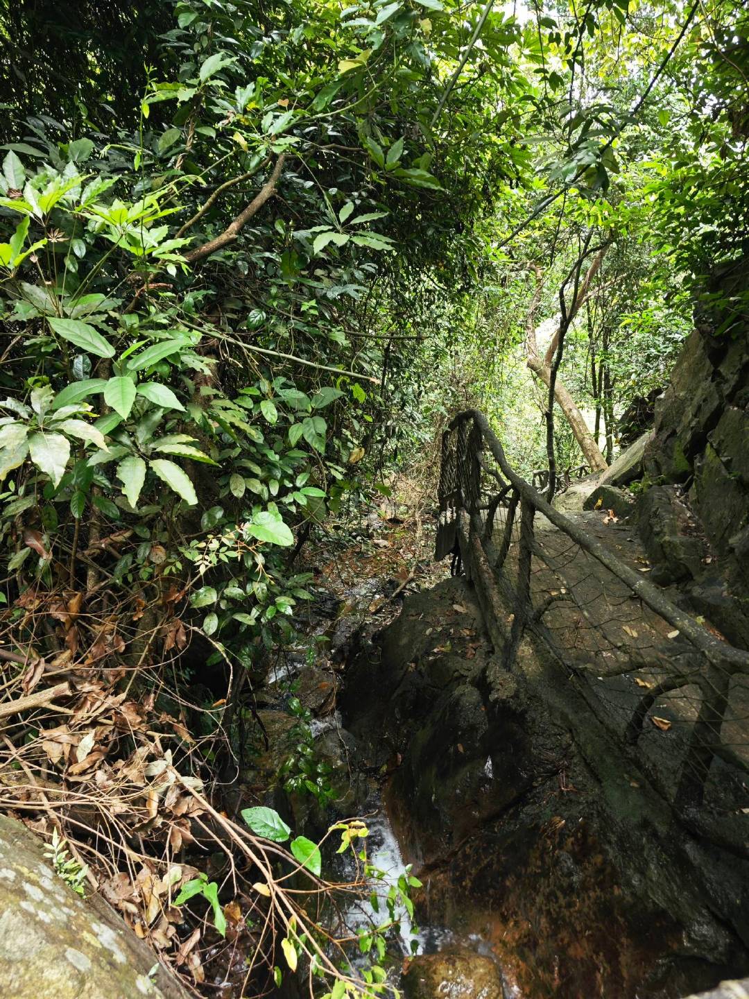 在溪边小别墅里住了一晚，山间含氧量极高，汩汩溪水是助眠的白噪音 ​