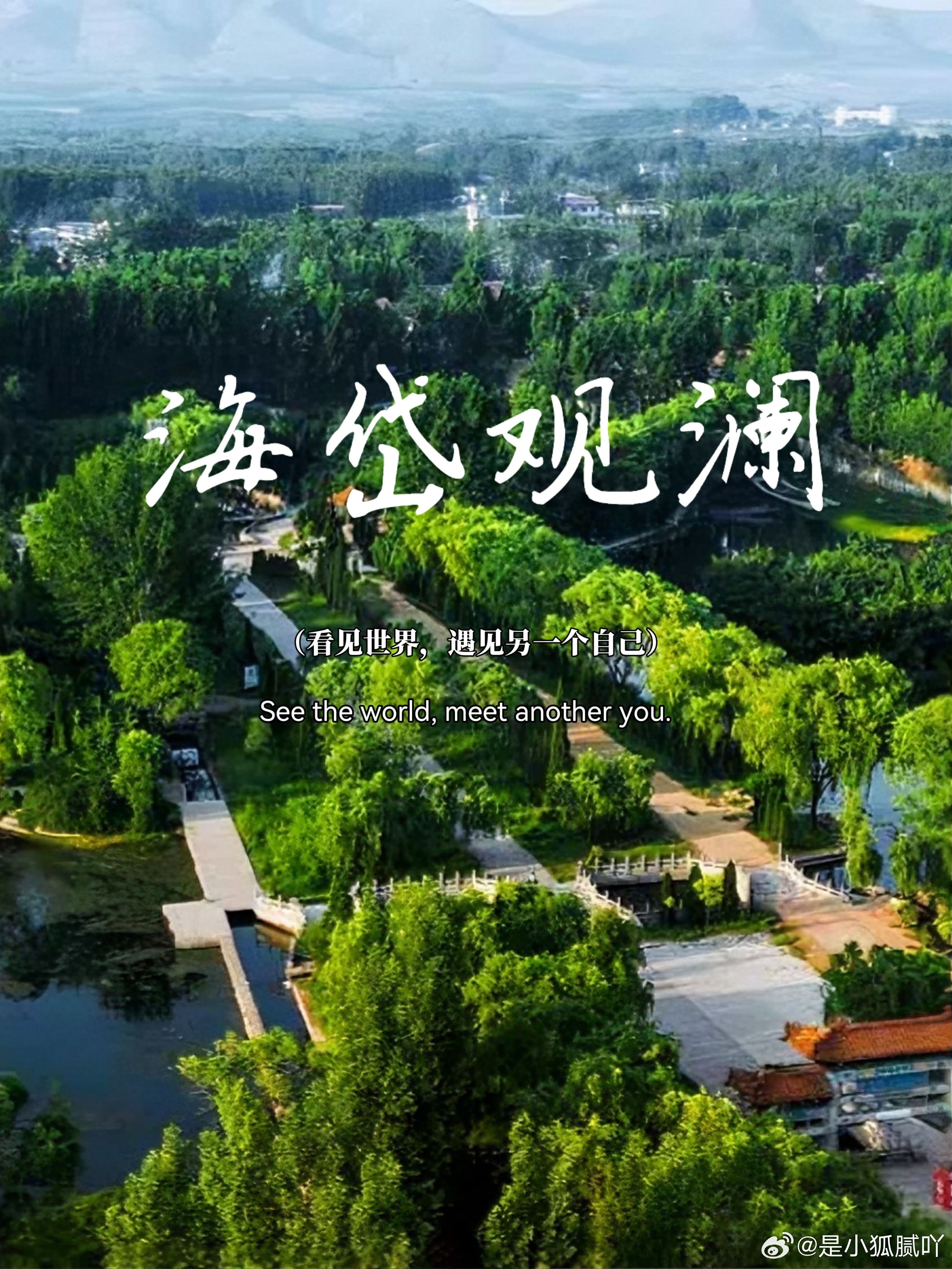 赓续千年文脉，不负时代山河
桂香满秋野，儒风润山河。在硕果丰盈的金秋时节，孔子文化节如约而至，山河浸染文韵，岁月不负传承。这场跨越千年的文化盛会，承载着中华民族的文化记忆，延续着华夏文明的精神血脉，让我们在回望历史中坚守初心，在赓续文脉中奔赴未来。
回望千年岁月，孔子以一生传道授业 ​