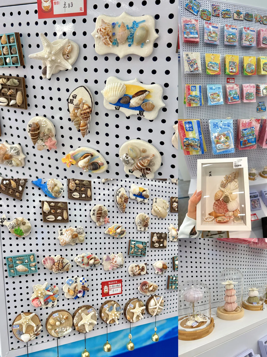 日照土著按头安利！8.8的贝壳冰箱贴谁还没买