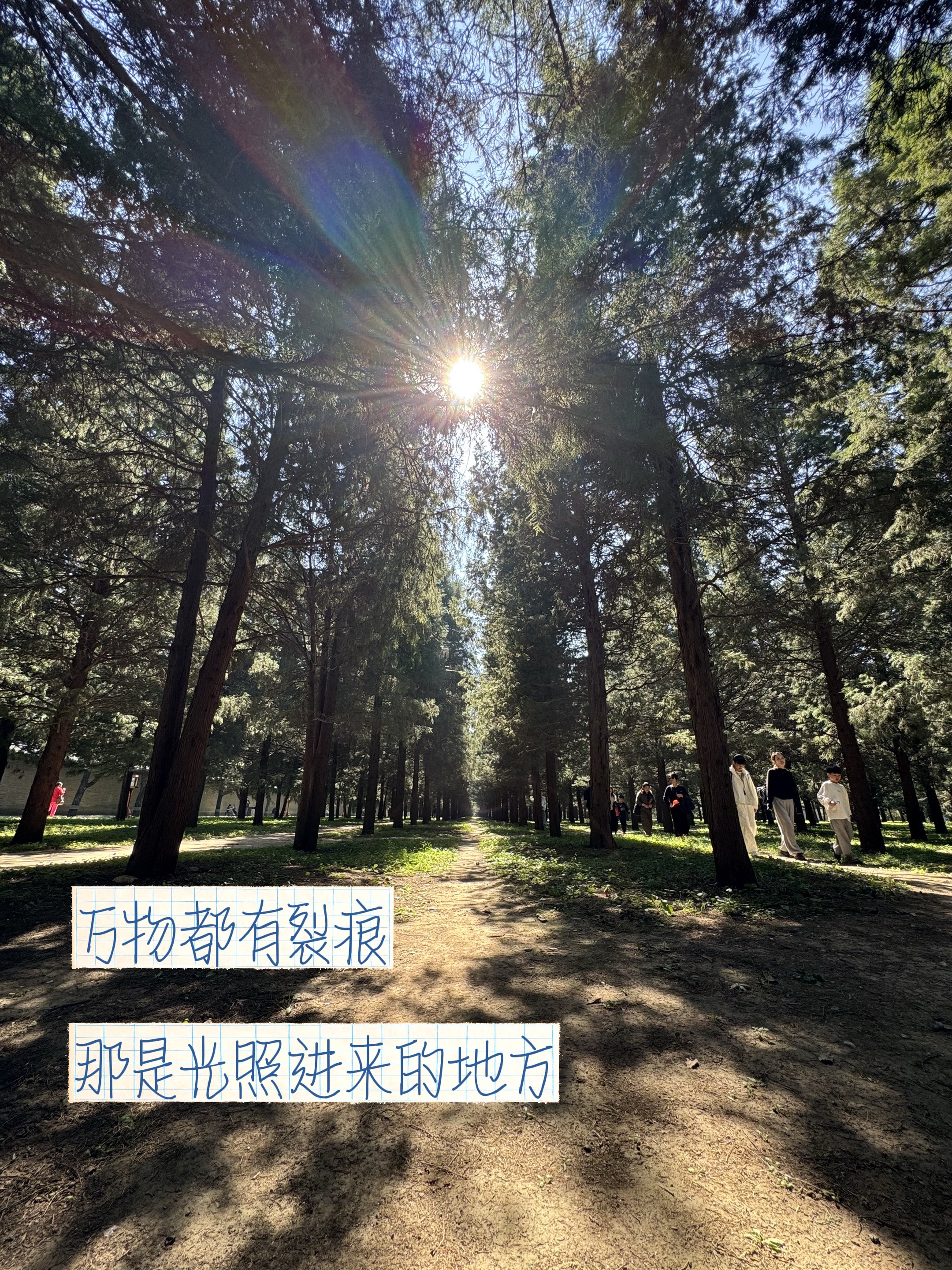 不要害怕生命中不完美的角落 阳光在每个裂缝中散落裂缝中的阳光 林俊杰 随拍