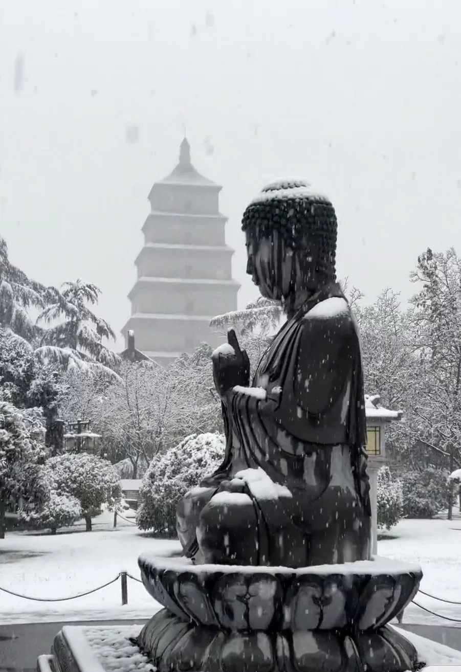 西安今日初雪太浪漫了❄️一秒穿越回长安❗️