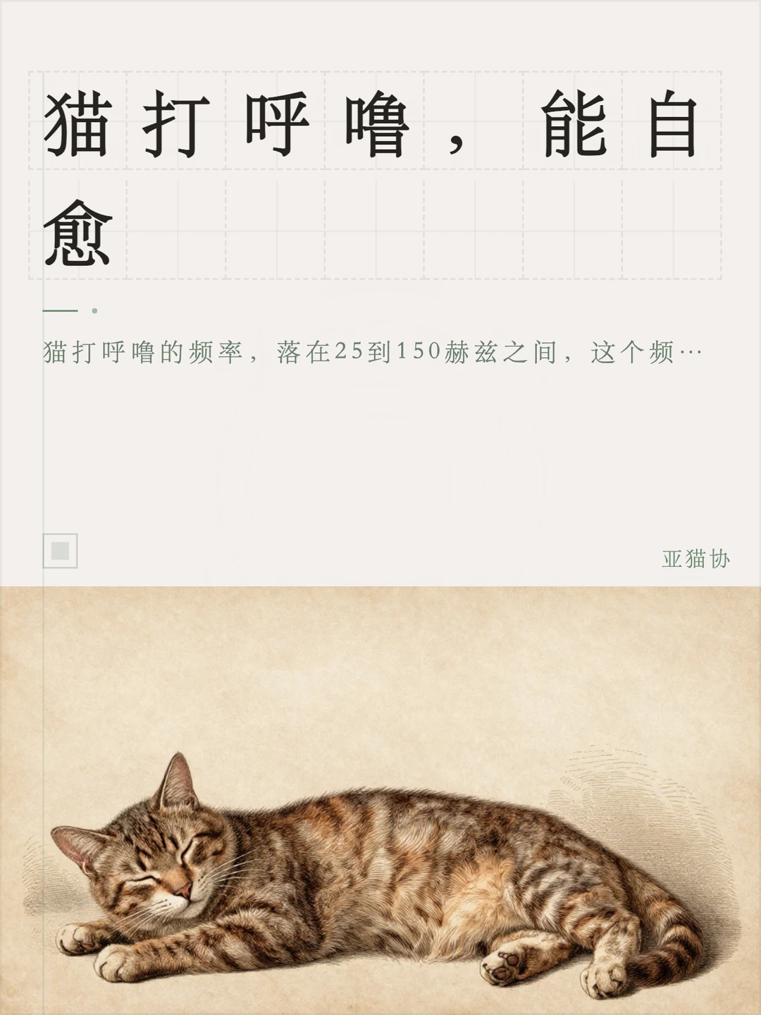 猫打呼噜，能自愈
