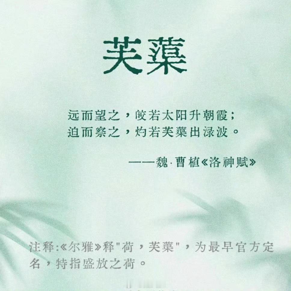 荷花还有这些别名，你都知道吗？ ​​​