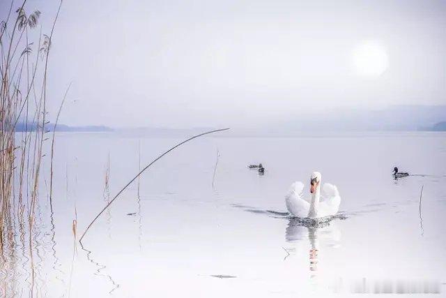 阴气缠身久了：面相阴沉，瘤子滋生——老祖宗的话，真不是迷信！

小时候，老师总说神明是古人编出来管束人的。可细想想，几千年前，天各一方的东方和西方，怎么都不约而同地有了“神明”之说，有了“善恶有报”的信念？

或许，神明本就不想让人知道他的存在。

毕竟，点上几炷香，就想求人家办事，这 ​