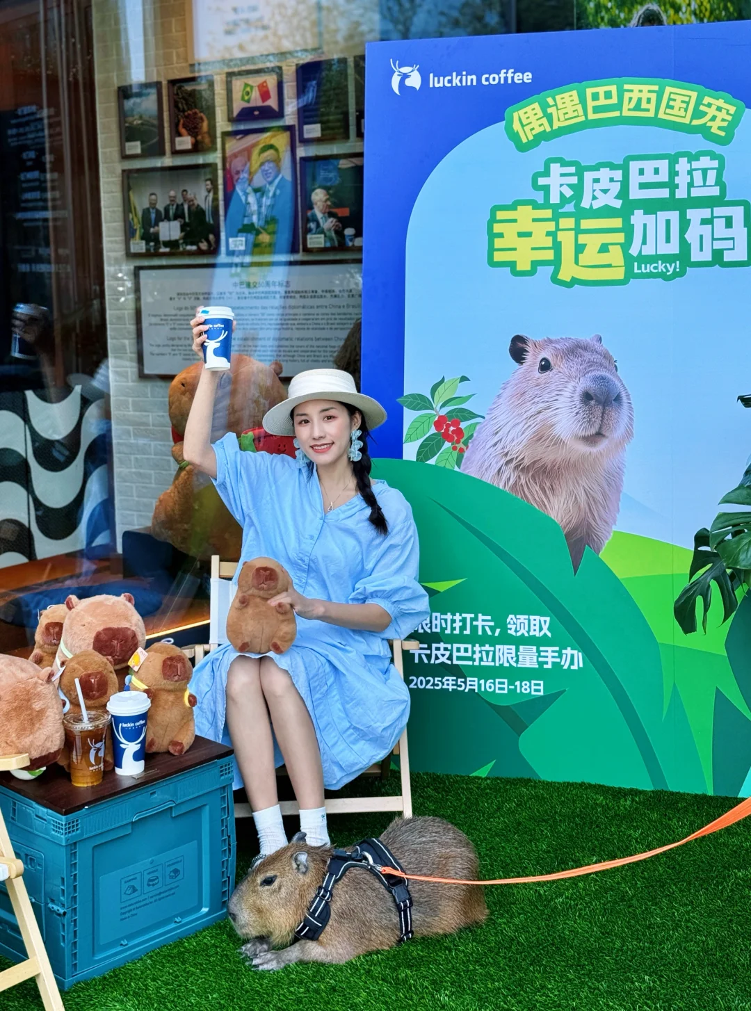 太超前了！在瑞幸竟然rua到了活的卡皮巴拉！