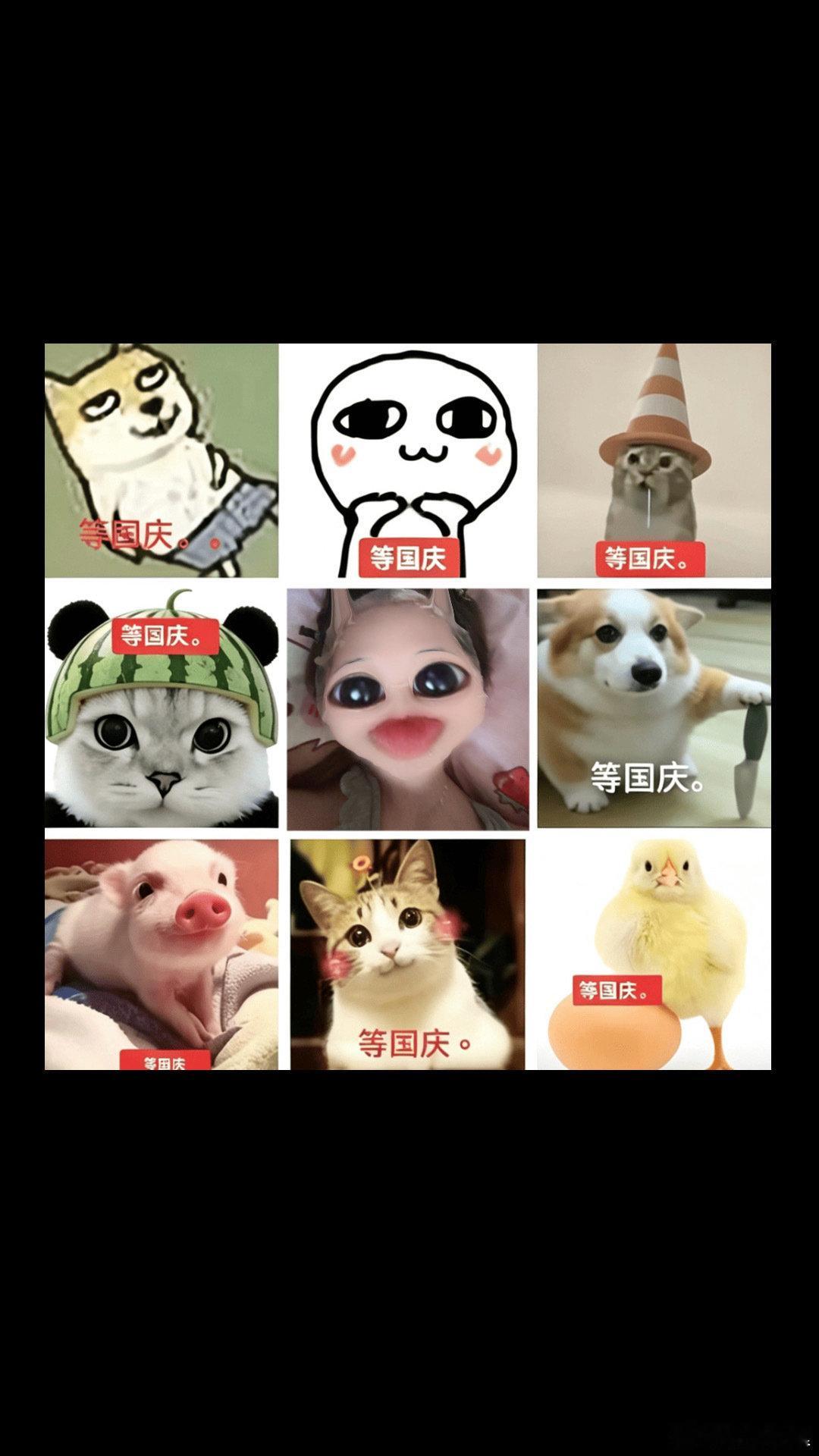 p1再也不在晚上用CCD拍照 p2小小猫p3大大猫
p4国庆快来p5咕咕鸡p6耗时一下午超级累人的冰箱贴p7厦门震感明显p8即将要做邻居的小猫
p9世界上最好吃的火锅结束散步回家中 ​