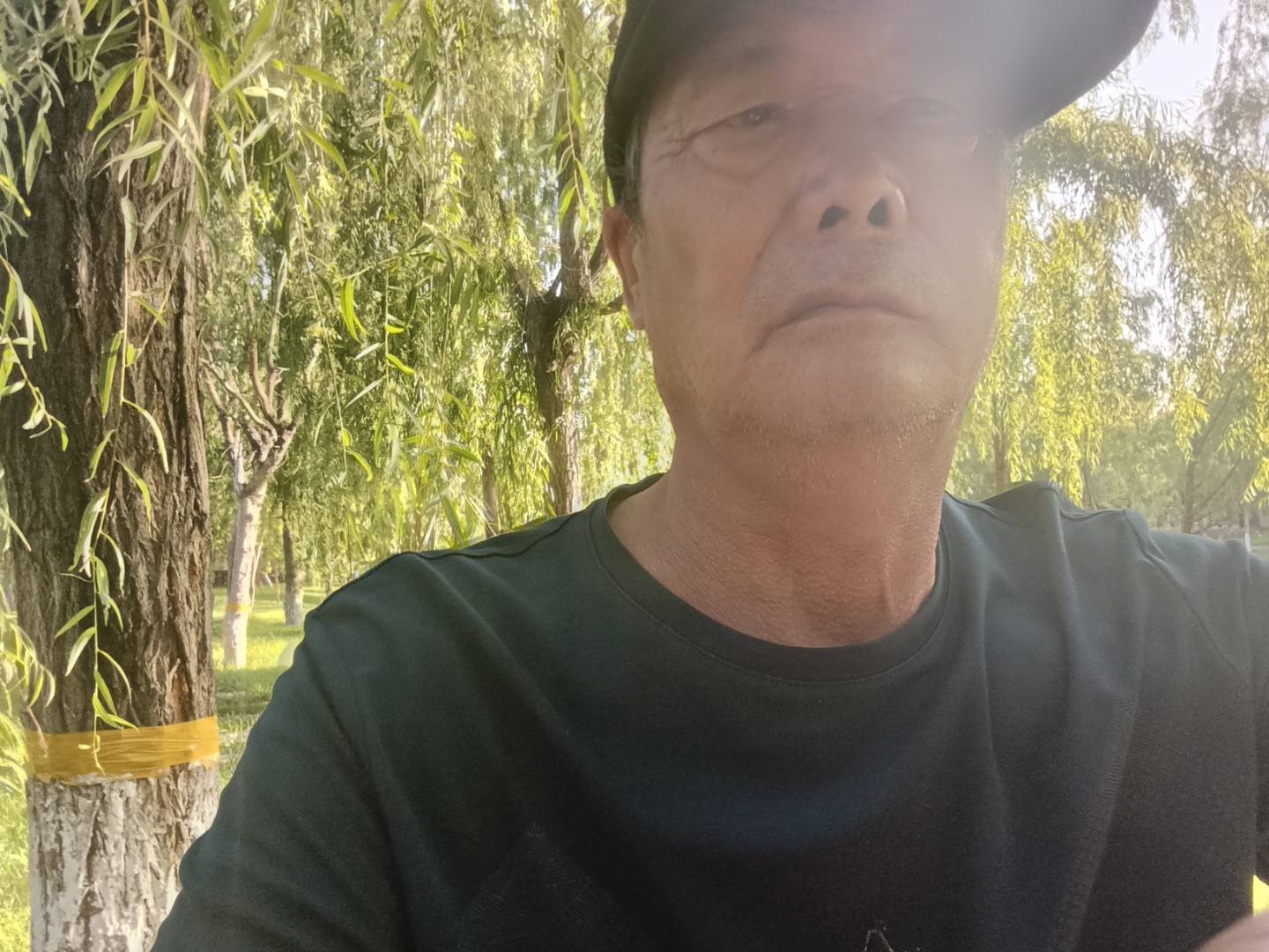 先把话说在前头，咱们国家法律明确规定一夫一妻制，同时拥有两任合法妻子是完全不被允许的，所谓的“两任妻子”只能是先后两段婚姻里的前妻和现任，或者像谢贤这样两段正式婚姻的两位前任，相处模式的差别真的特别明显。
就拿谢贤的两任妻子来说，初代琼女郎甄珍是温婉玉女型，本身性格偏