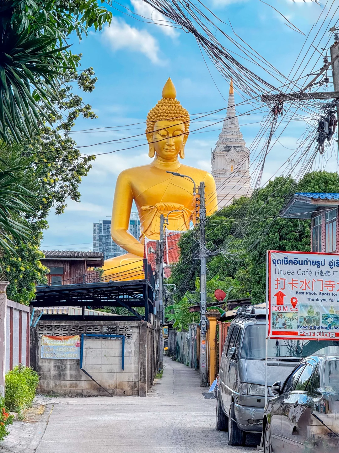 为了这1️⃣2️⃣张照片，我又特意飞了趟泰国