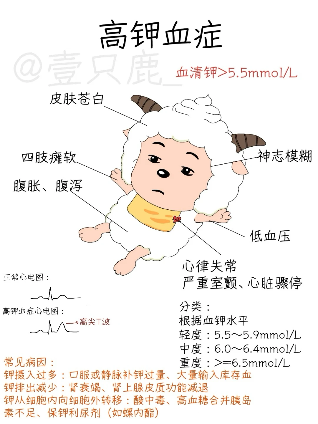 医学生笔记📝｜高钾vs低钾