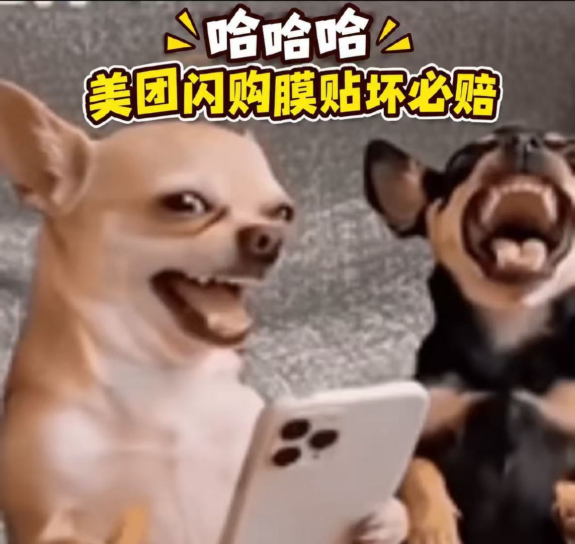 #建议大家少用这种充电宝#喜提iPhone18！新机开机仪式必须配齐壳膜配件。美团搜【贴坏必赔】，30分钟极速送达，贴膜坏了可赔付，买套装还能领镜头膜。#美团闪购品牌官方旗舰店##买数码配件上美团闪购# ​