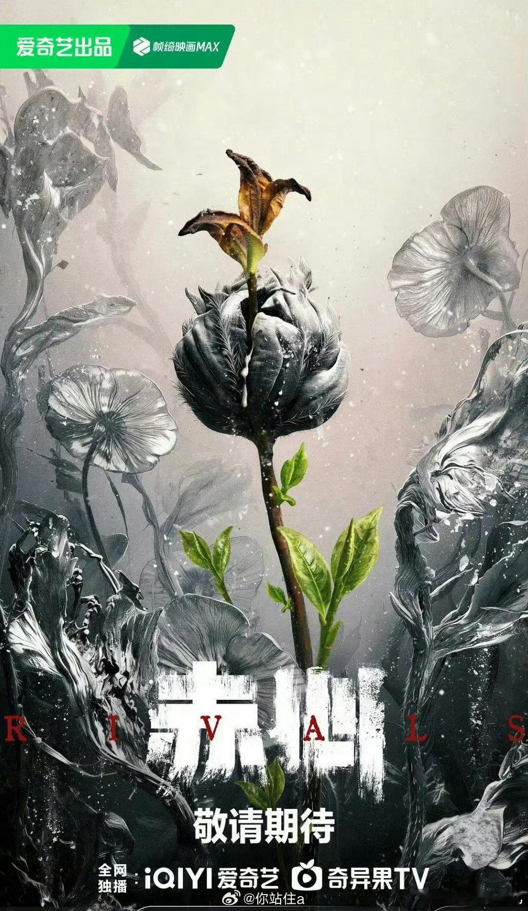 陈哲远、胡军主演刑侦剧《赤心》组讯，刘新导演，云南拍摄，期待缉毒故事！
#电视剧赤心 ​