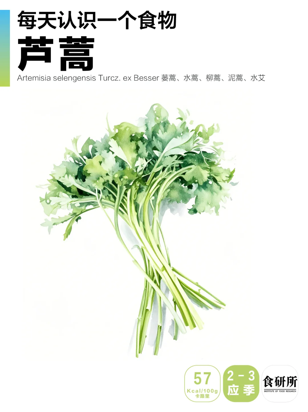 芦蒿是春日坐在小河边闻到春水初涨的味道