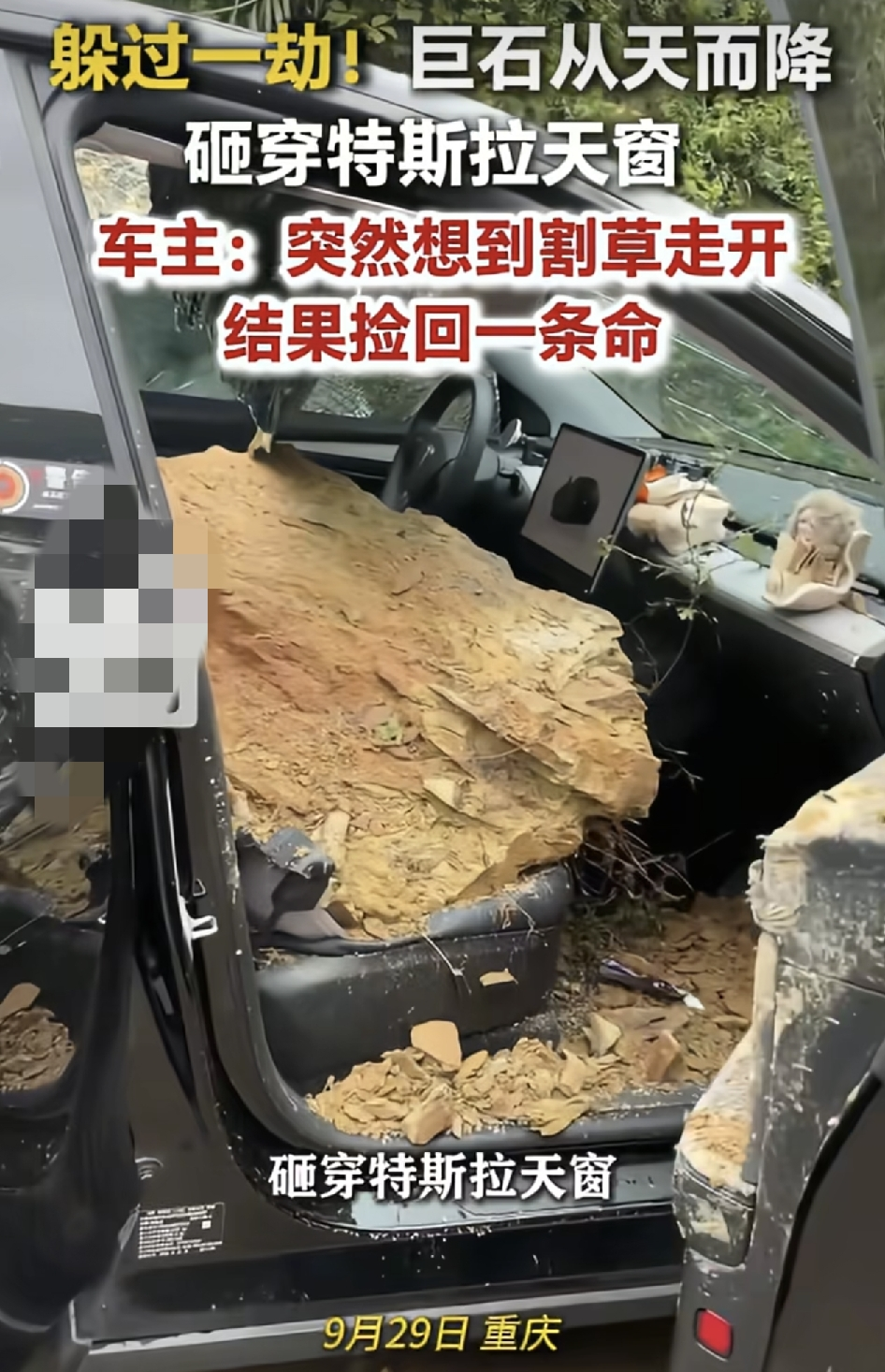 [太阳]重庆一对情侣放假准备开车回家，途经一山坡底下，女子突然想到家里的兔子没草