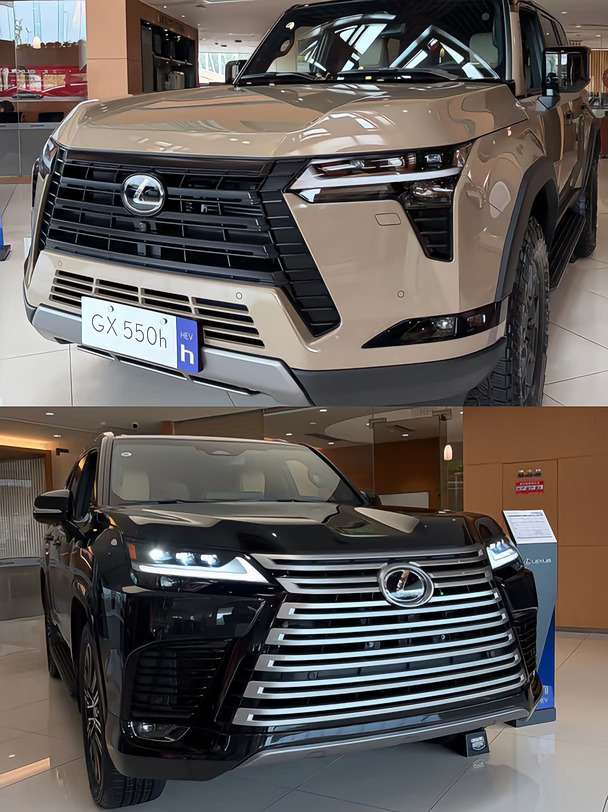 川藏人民为何如此偏爱GX / LX？🤔