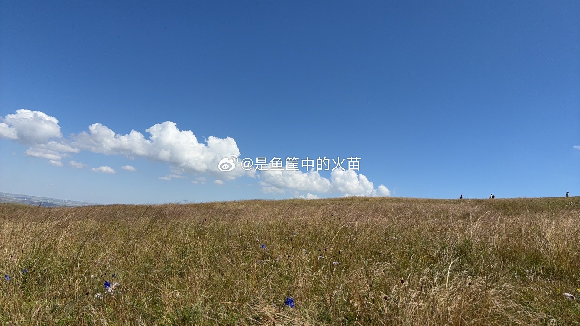 被风景吸引住啦
没看住我的大疆p3
把你丢在这里啦
心里很难过！
你好好在这看风景吧
但是希望有好心人联系我[委屈] ​